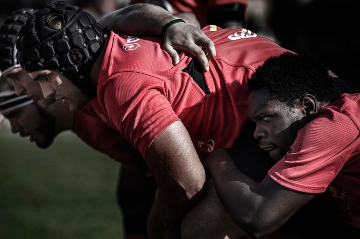 Best Rugby Photographs