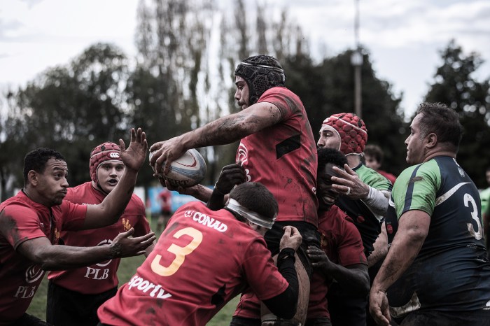Best Rugby Photographs