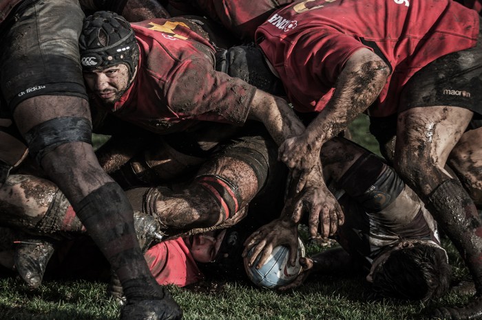 Best Rugby Photographs