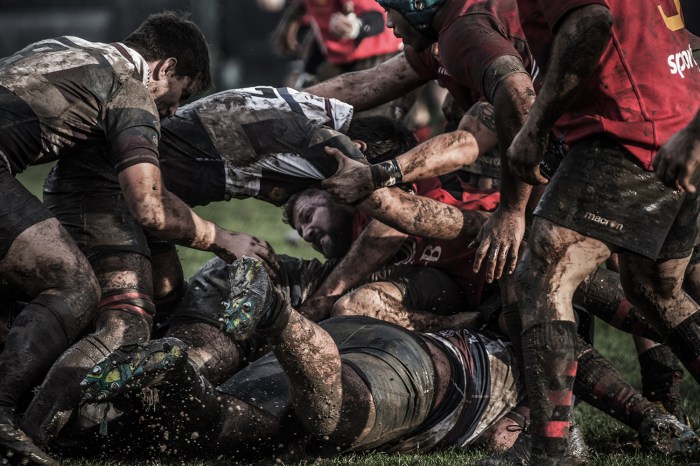 Best Rugby Photographs
