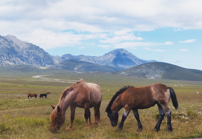 Campo Imperatore