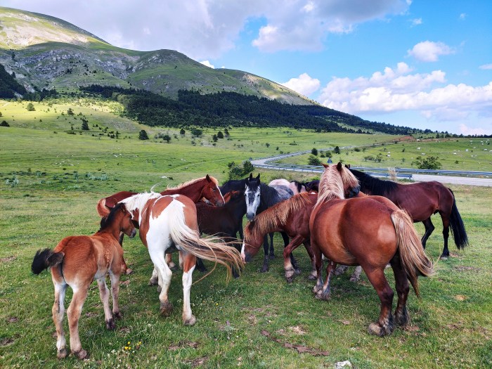 Viaggio in Abruzzo